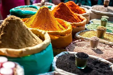 Best Halal Dishes in Ottawa